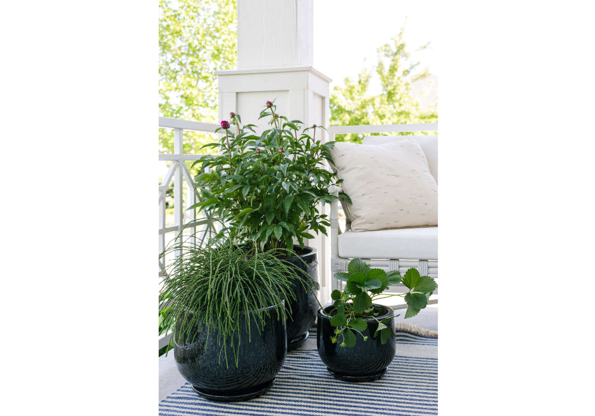 BLACK CERAMIC PLANTERS | Hand Glazed Ebony - Image 12
