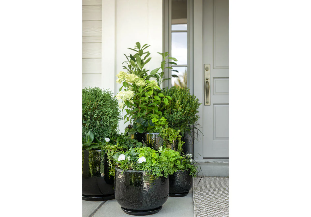 BLACK CERAMIC PLANTERS | Hand Glazed Ebony - Image 17