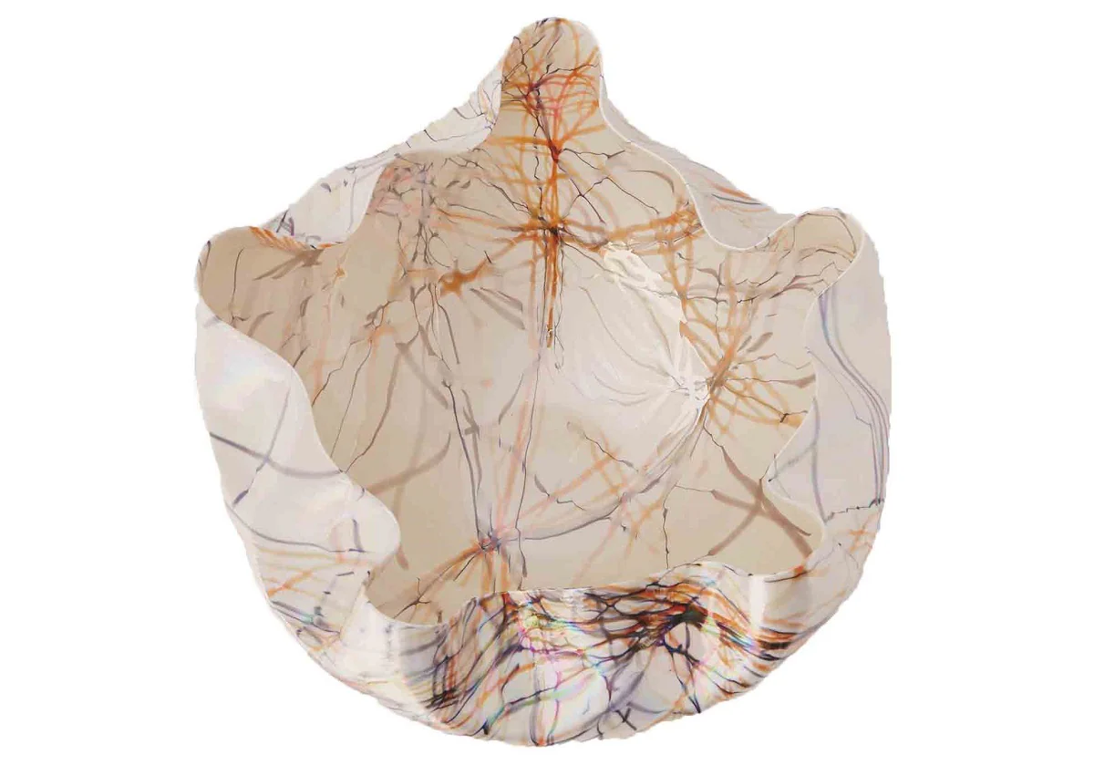 CAMBRIAN BOWL - Image 2