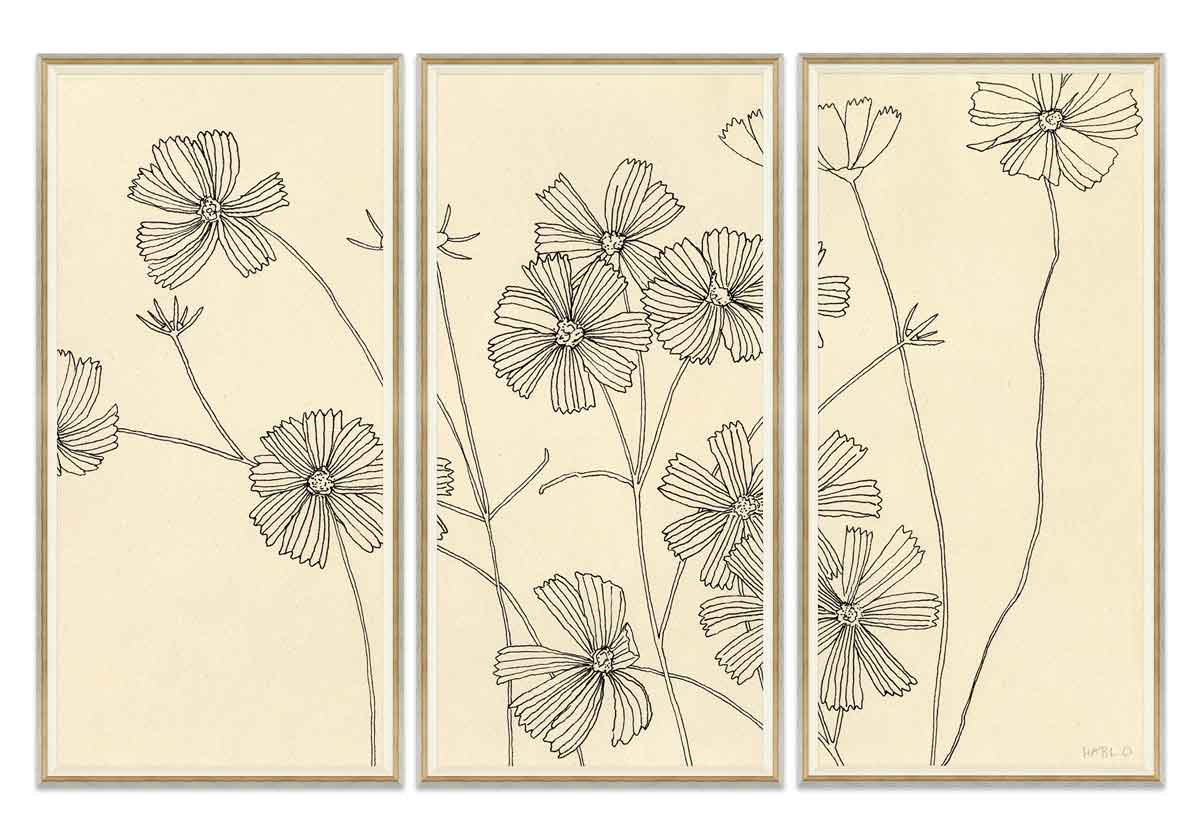 COSMOS - Image 4