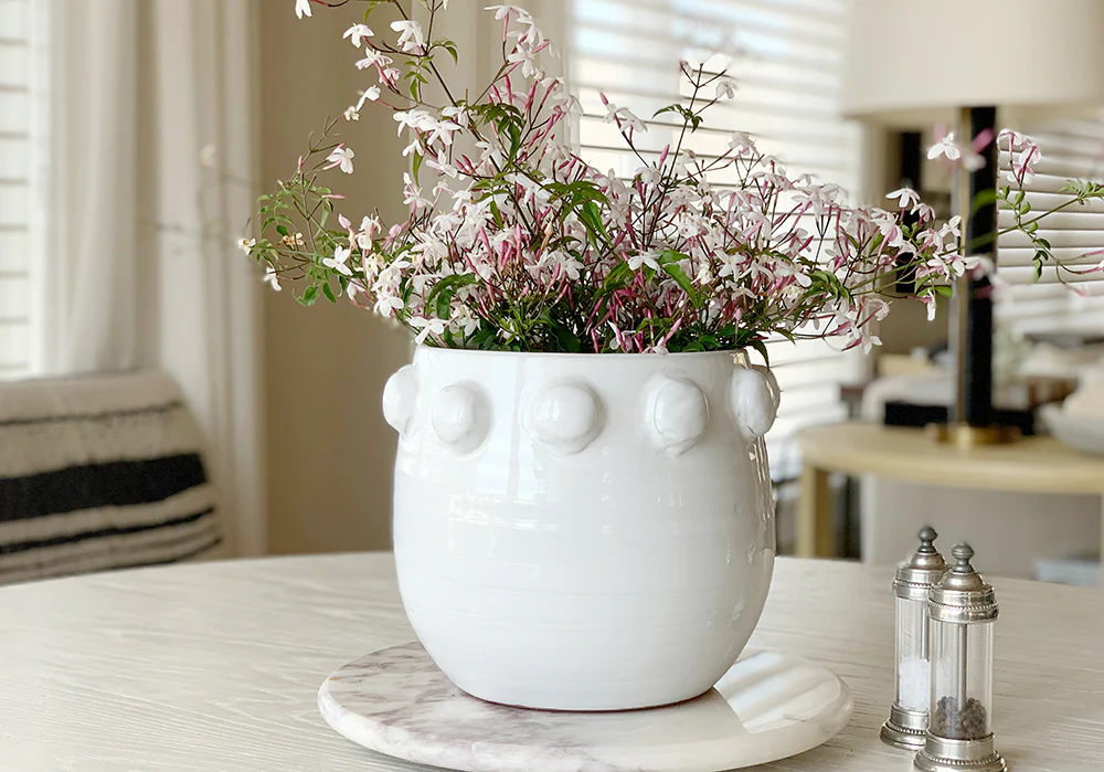 FARAH ROSA POT - Image 2