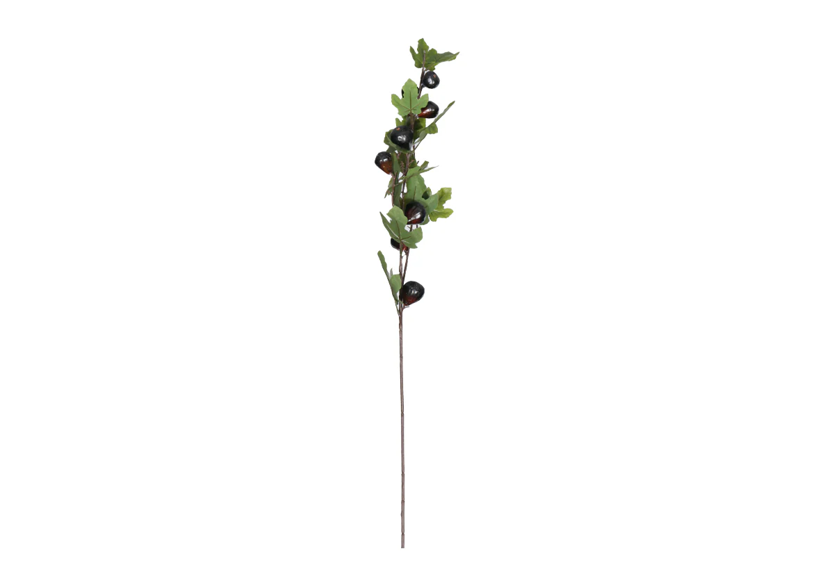 FIG BRANCH - Image 2