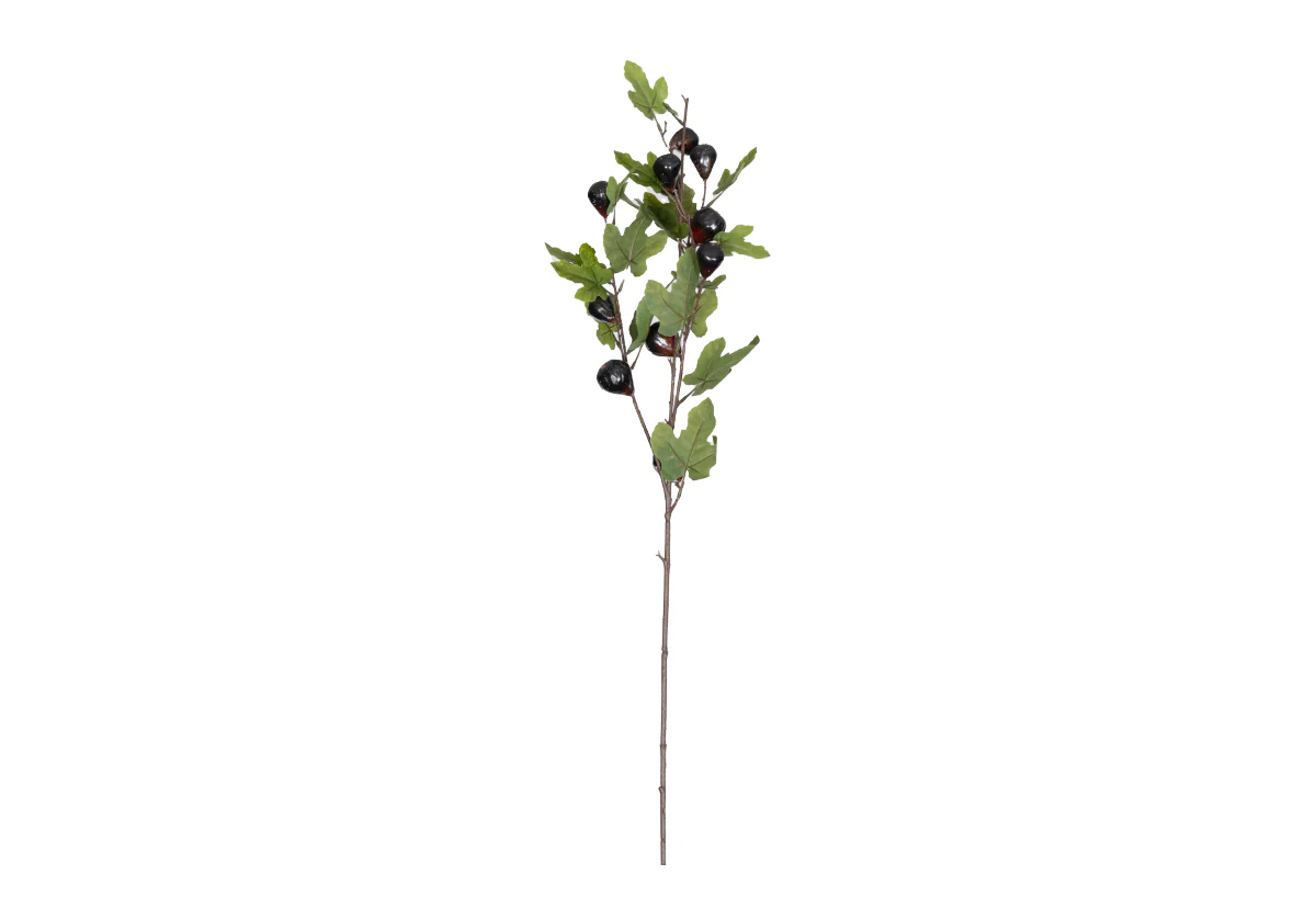 FIG BRANCH - Image 3