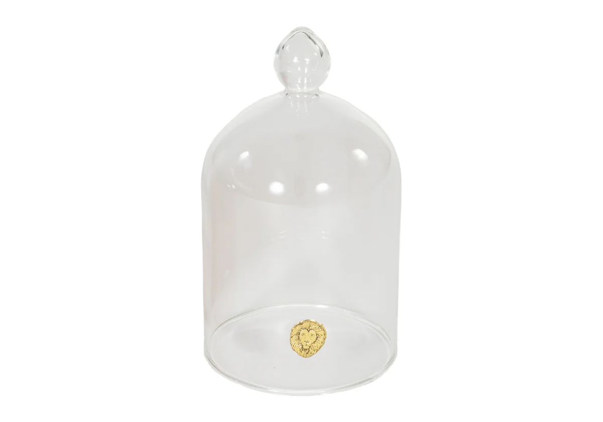 GLASS CLOCHE - Image 10