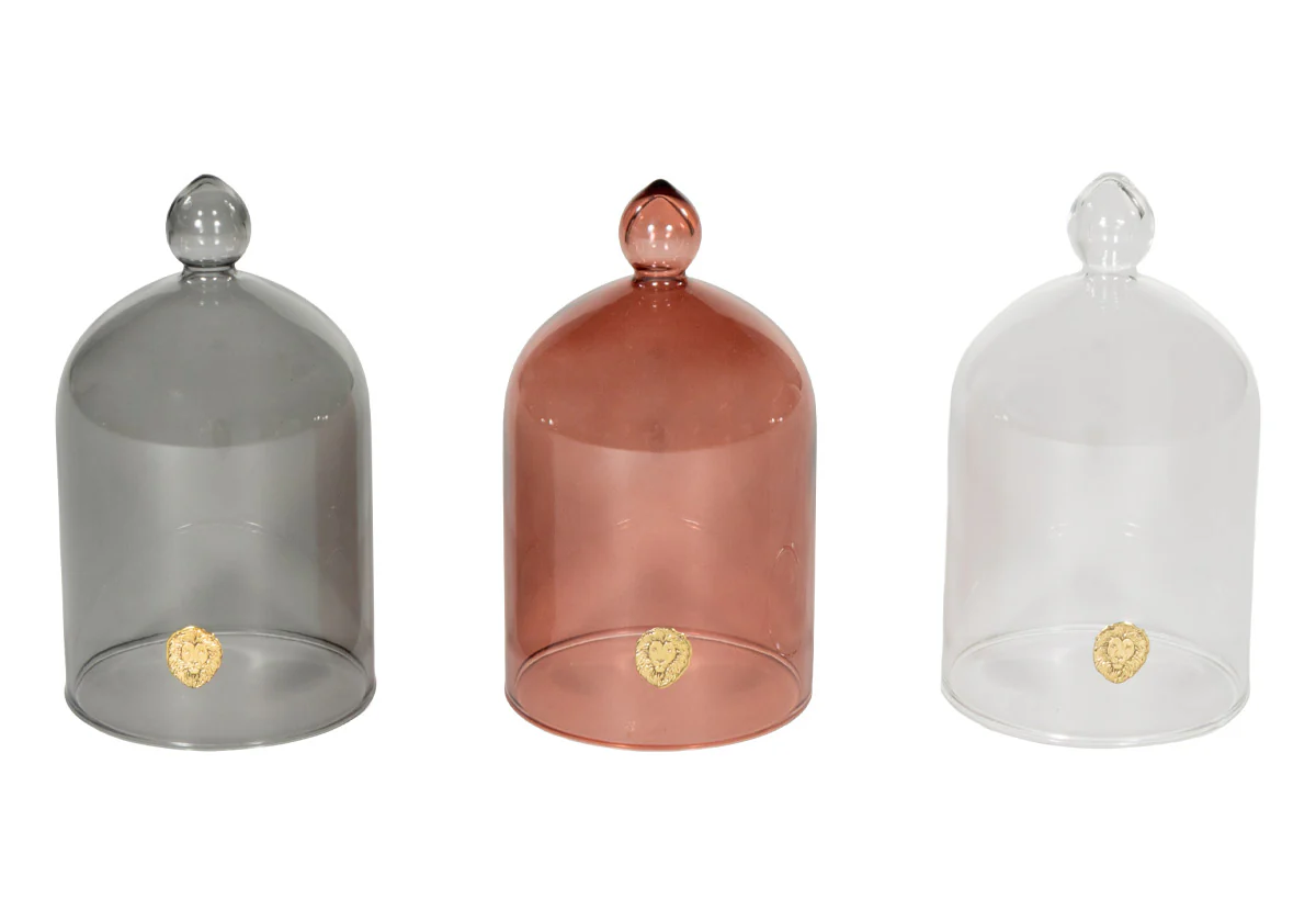 GLASS CLOCHE - Image 3