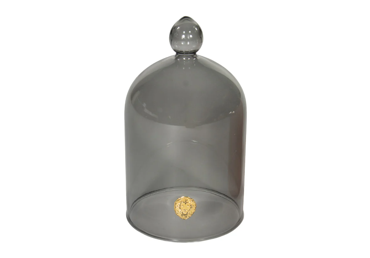 GLASS CLOCHE - Image 4