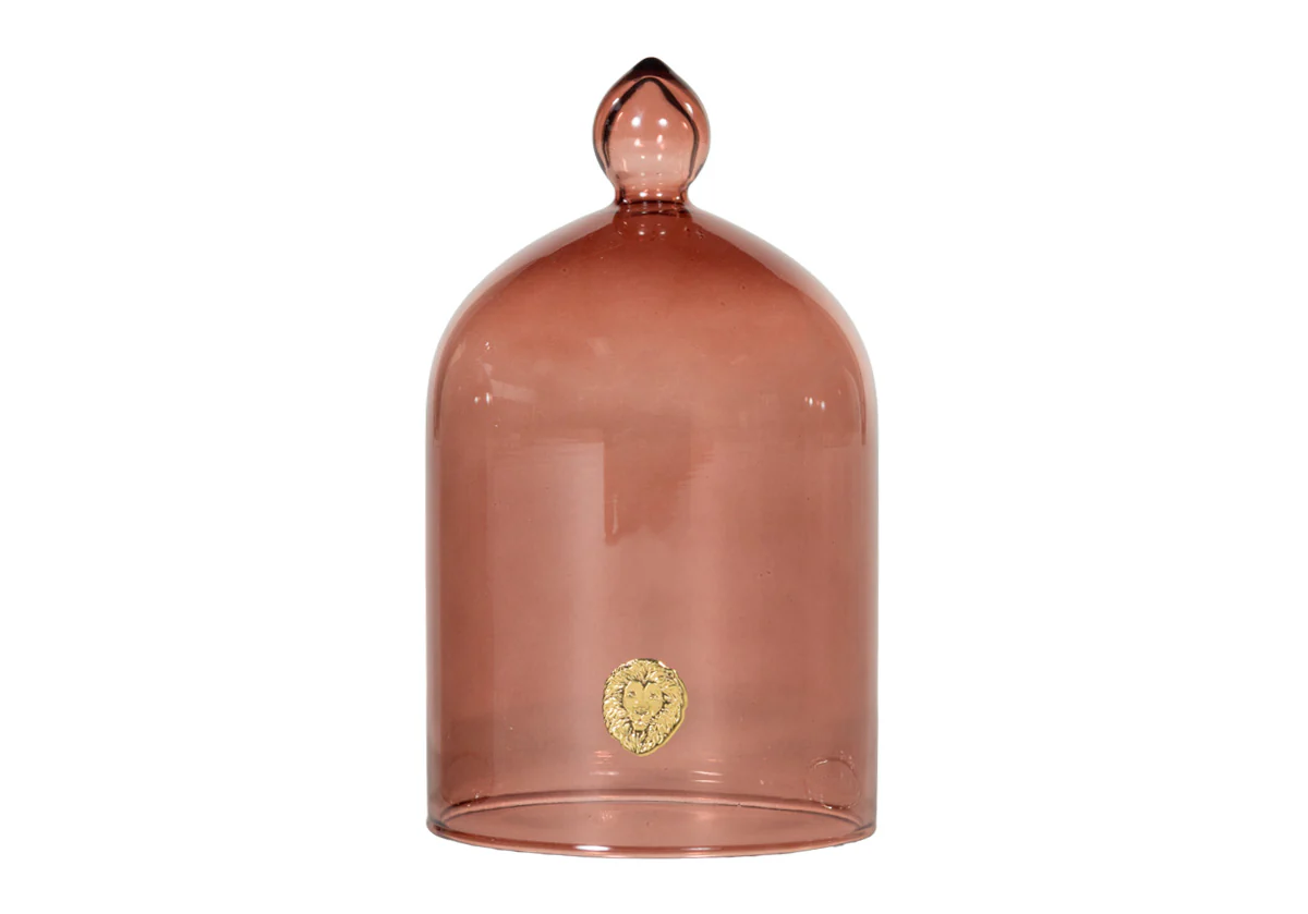 GLASS CLOCHE - Image 6