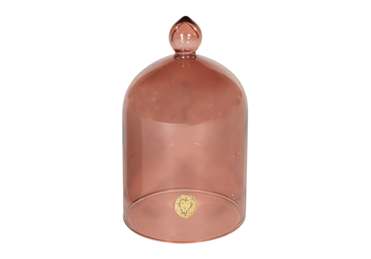 GLASS CLOCHE - Image 7