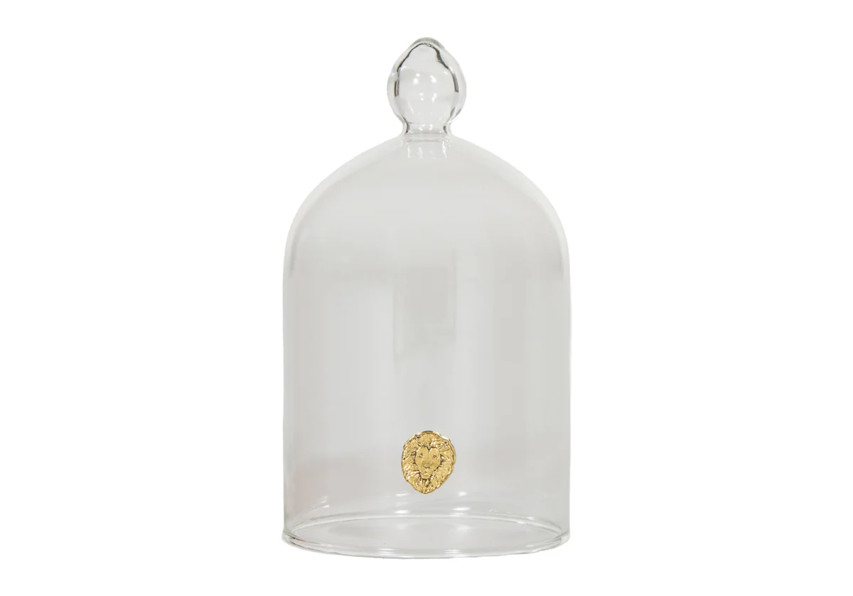 GLASS CLOCHE - Image 9