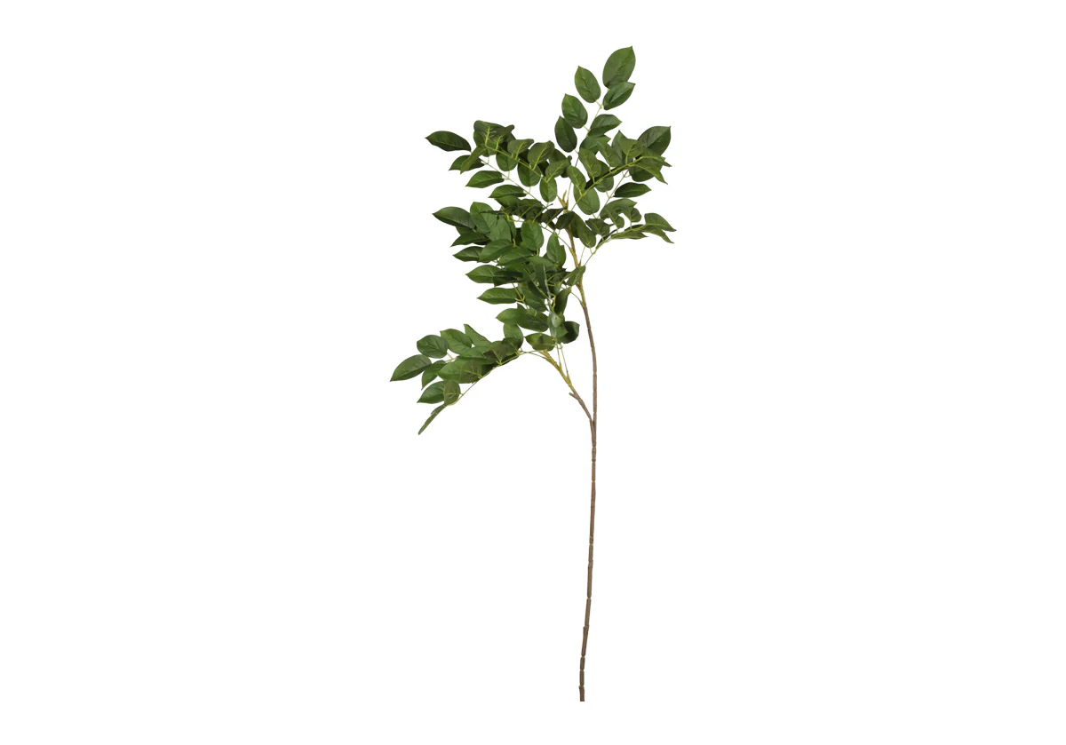 GREENWOOD BRANCH - Image 3