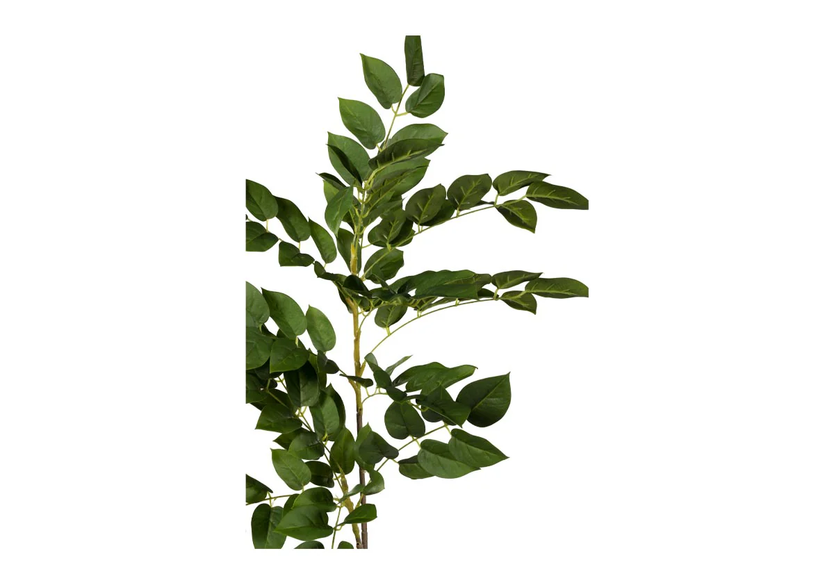 GREENWOOD BRANCH - Image 4