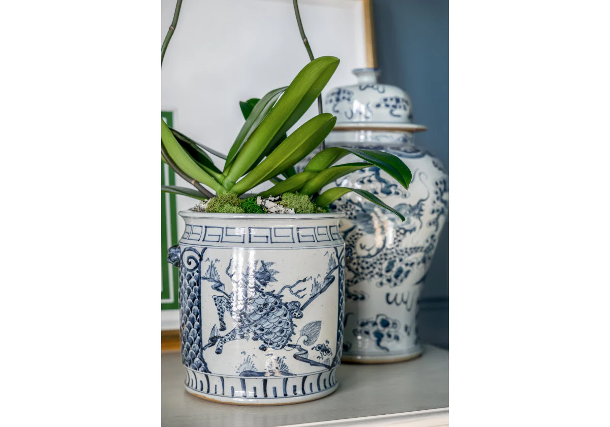 GUARDIAN ORCHID POT - Image 8