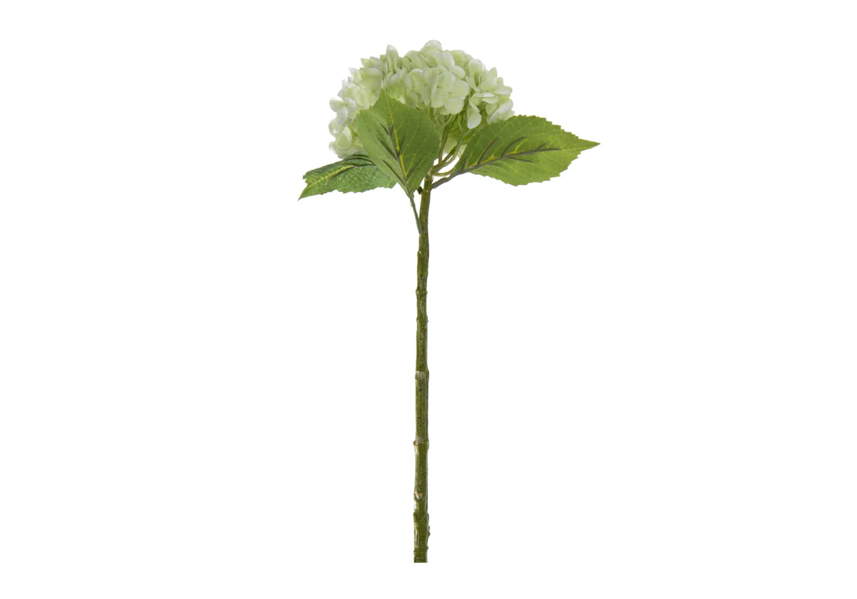 HYDRANGEA STEM | Limelight - Image 3