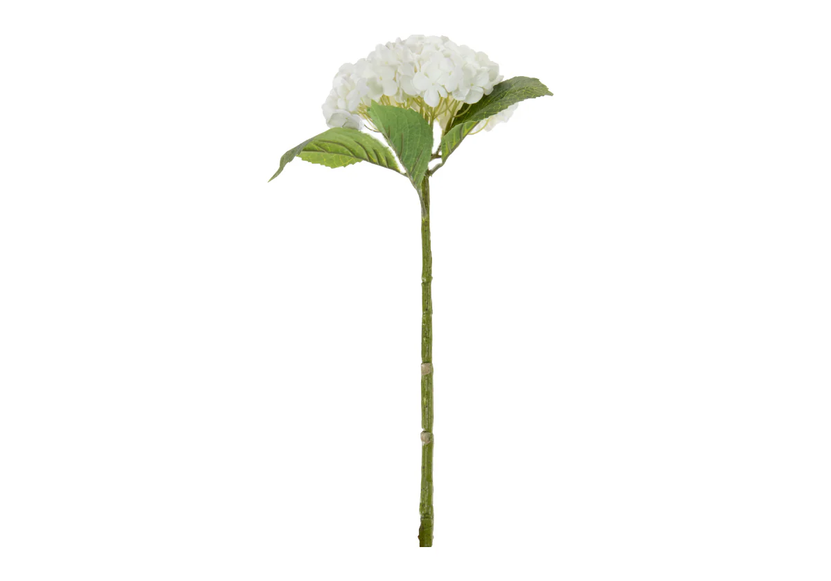 HYDRANGEA STEM | White - Image 3