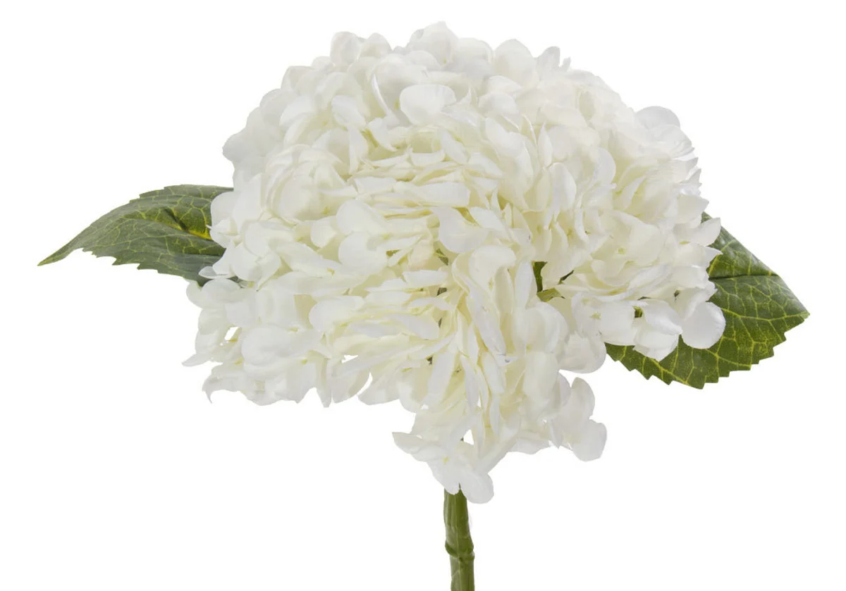 HYDRANGEA STEM | White - Image 4