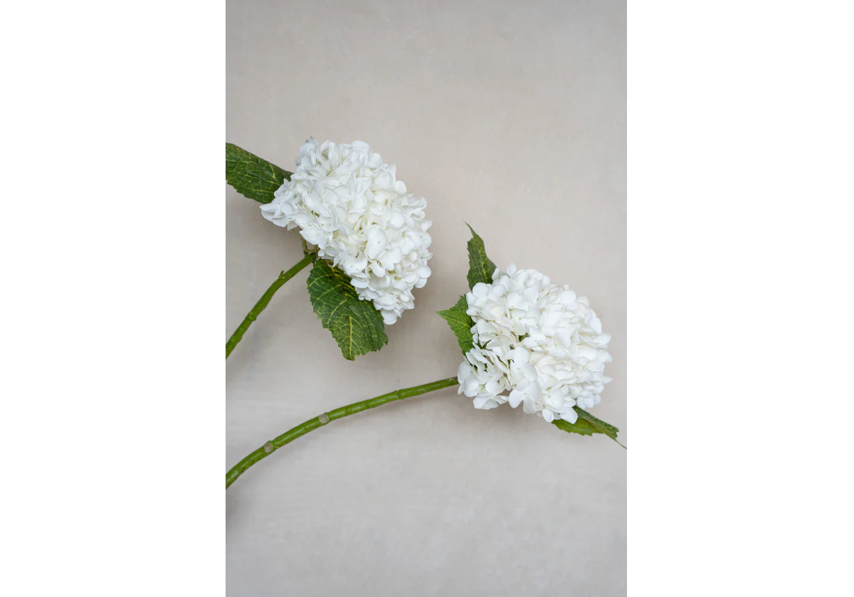 HYDRANGEA STEM | White - Image 7