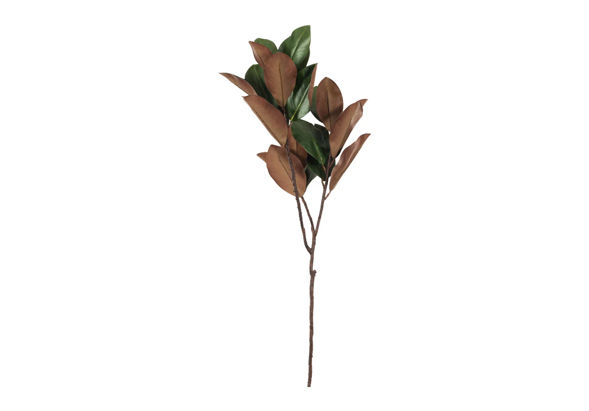MAGNOLIA BRANCH - Image 3