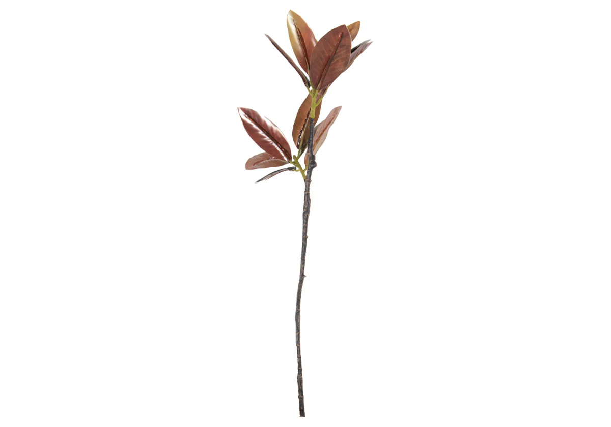 MAGNOLIA STEM - Image 3