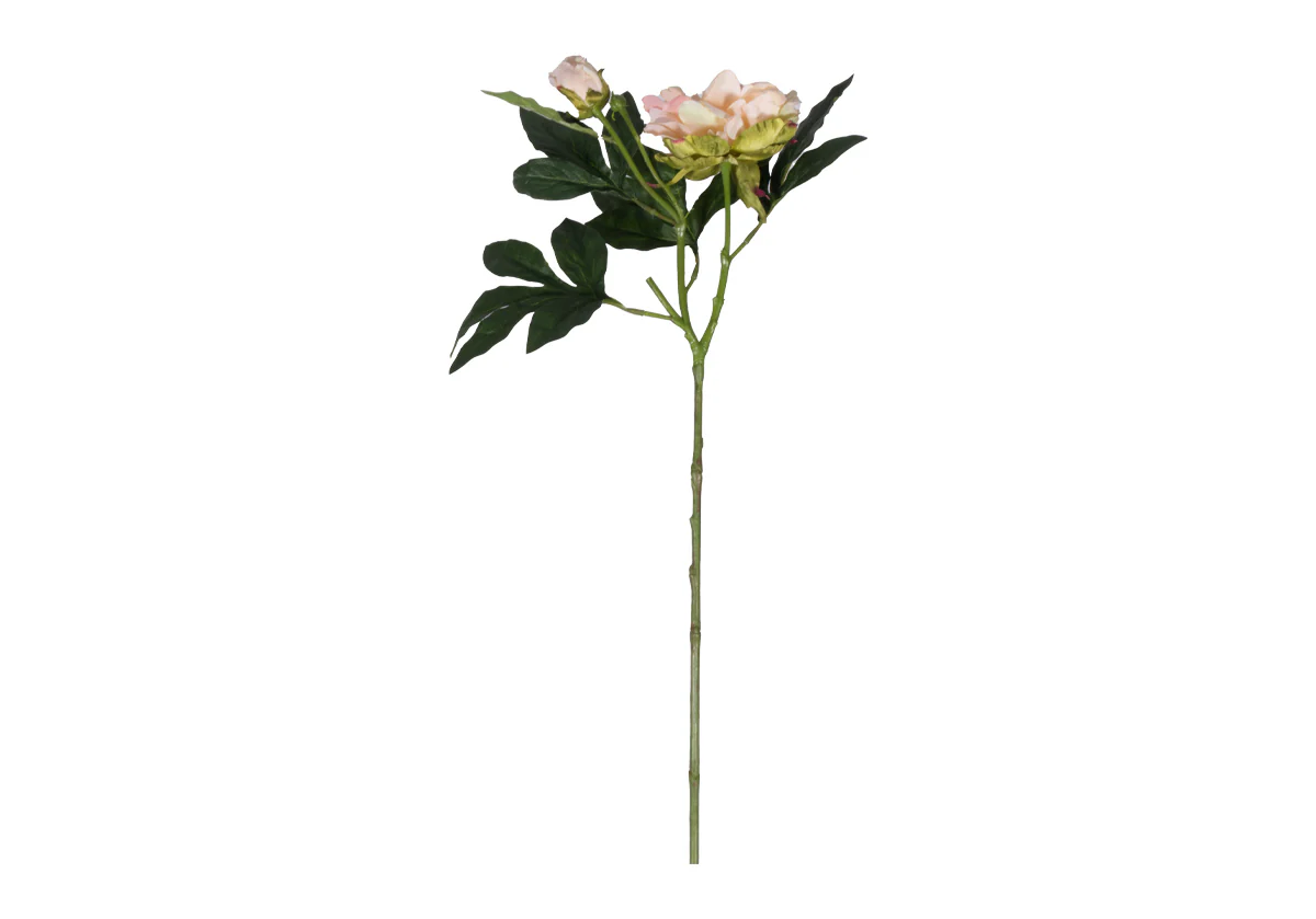 PEONY STEM | Ivory & Pink - Image 3