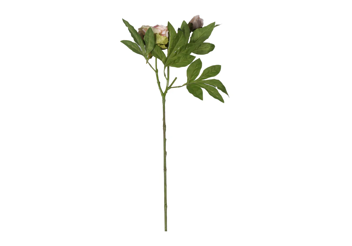 PEONY STEM | Ivory & Pink - Image 4