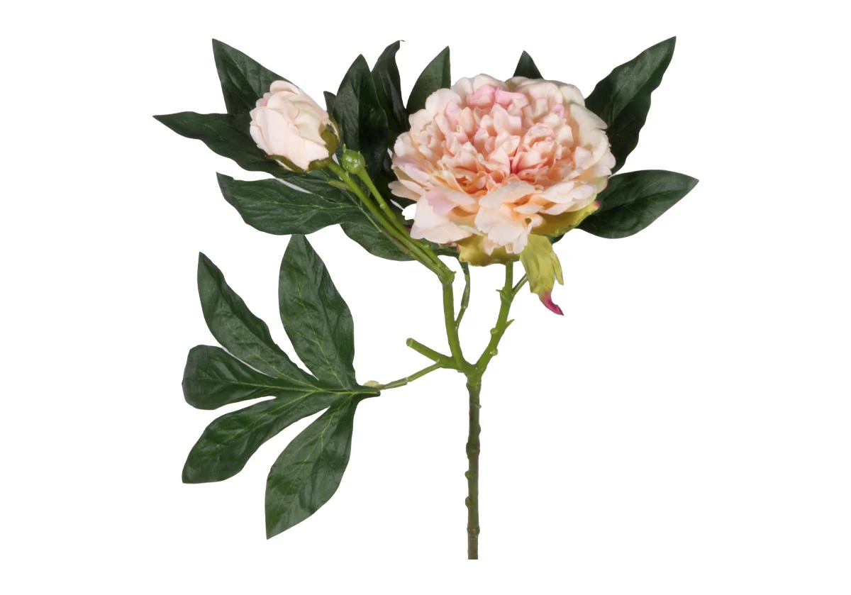 PEONY STEM | Ivory & Pink - Image 5