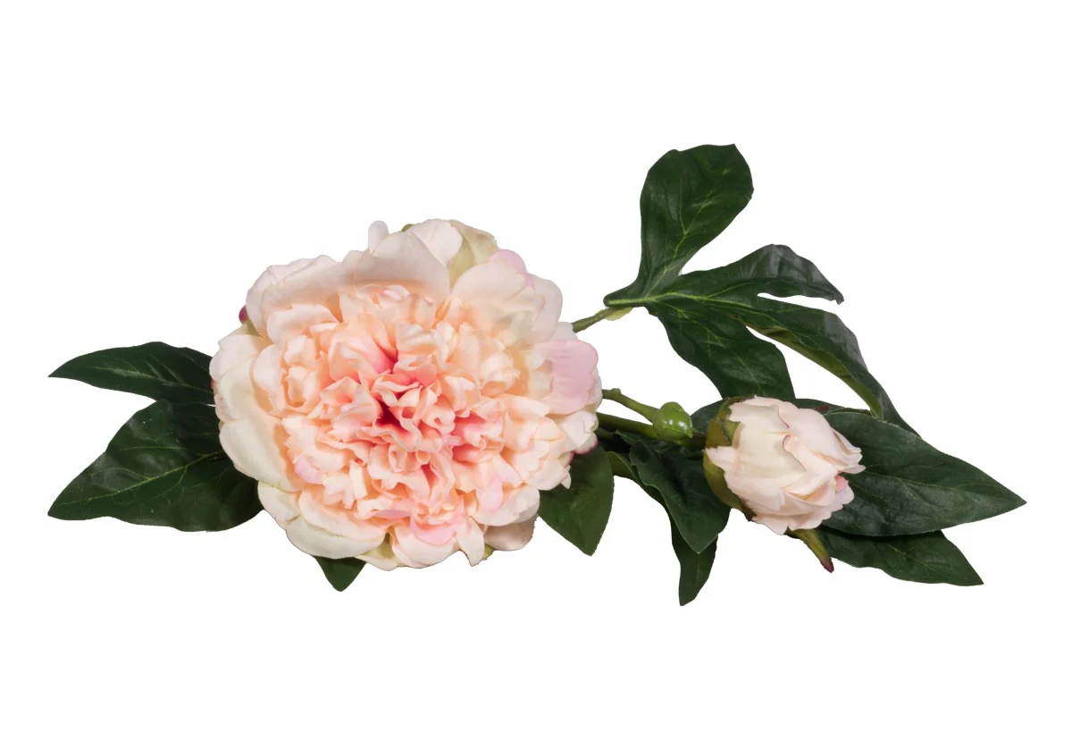 PEONY STEM | Ivory & Pink - Image 6