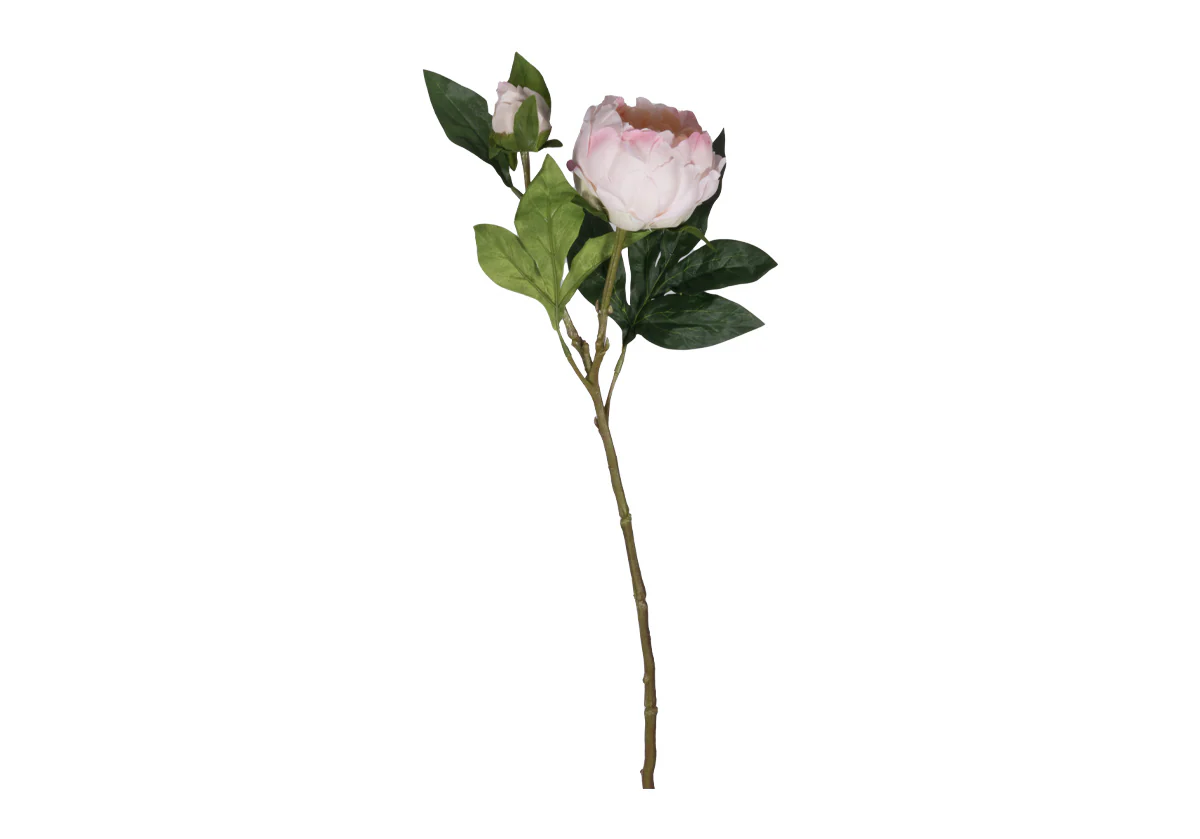PEONY STEM | White & Pink - Image 3