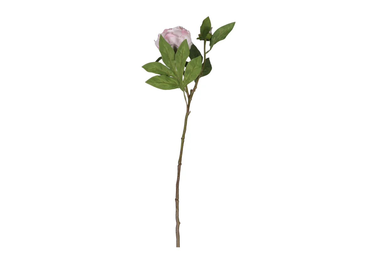 PEONY STEM | White & Pink - Image 4