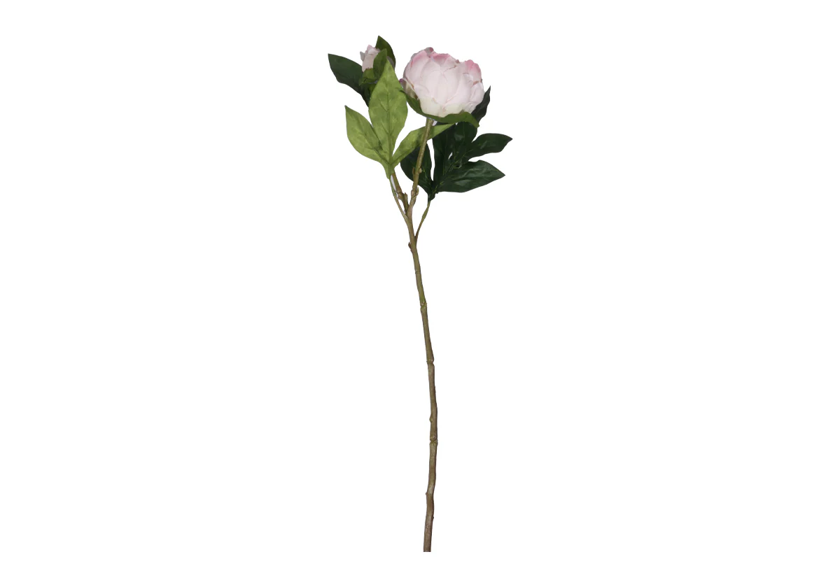 PEONY STEM | White & Pink - Image 5