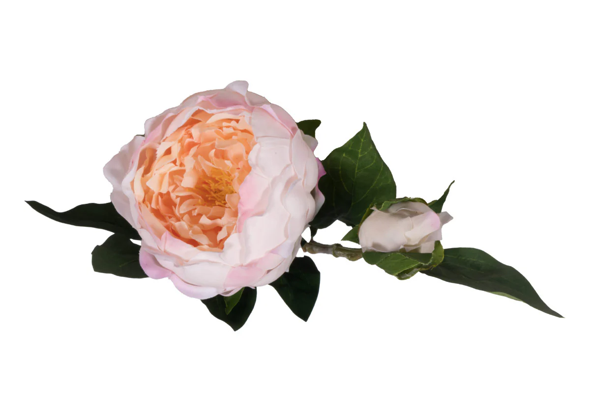 PEONY STEM | White & Pink - Image 6