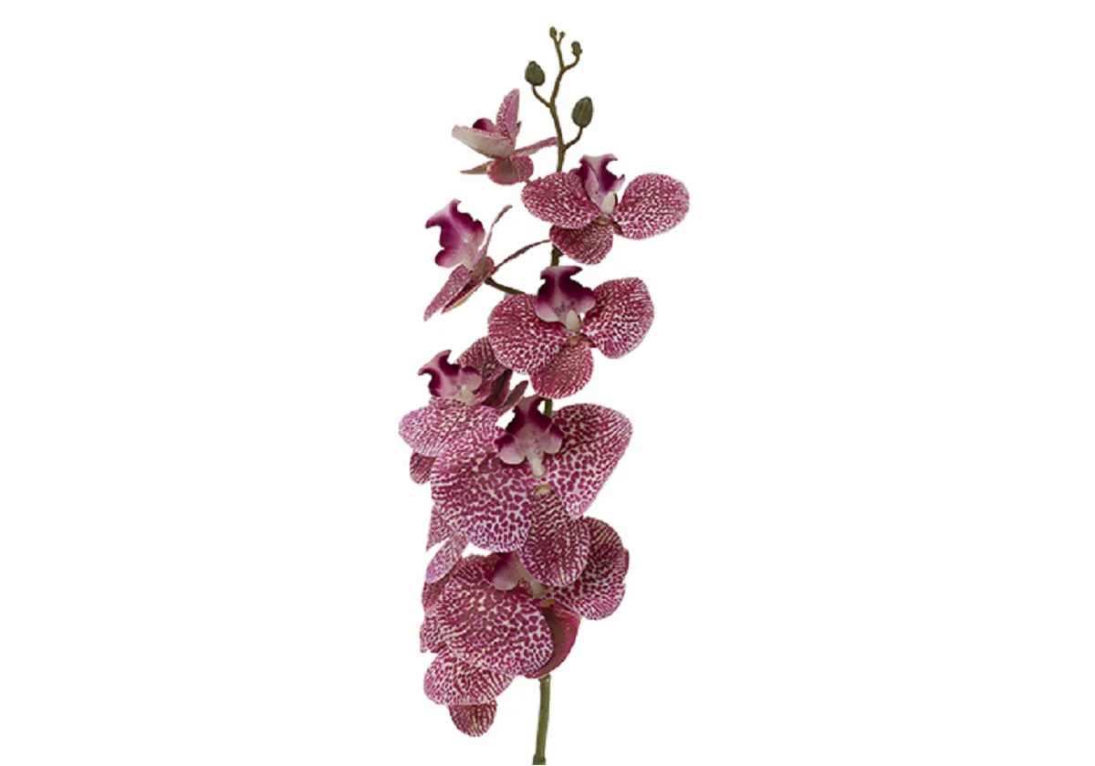 PINK ORCHID STEM - Image 4