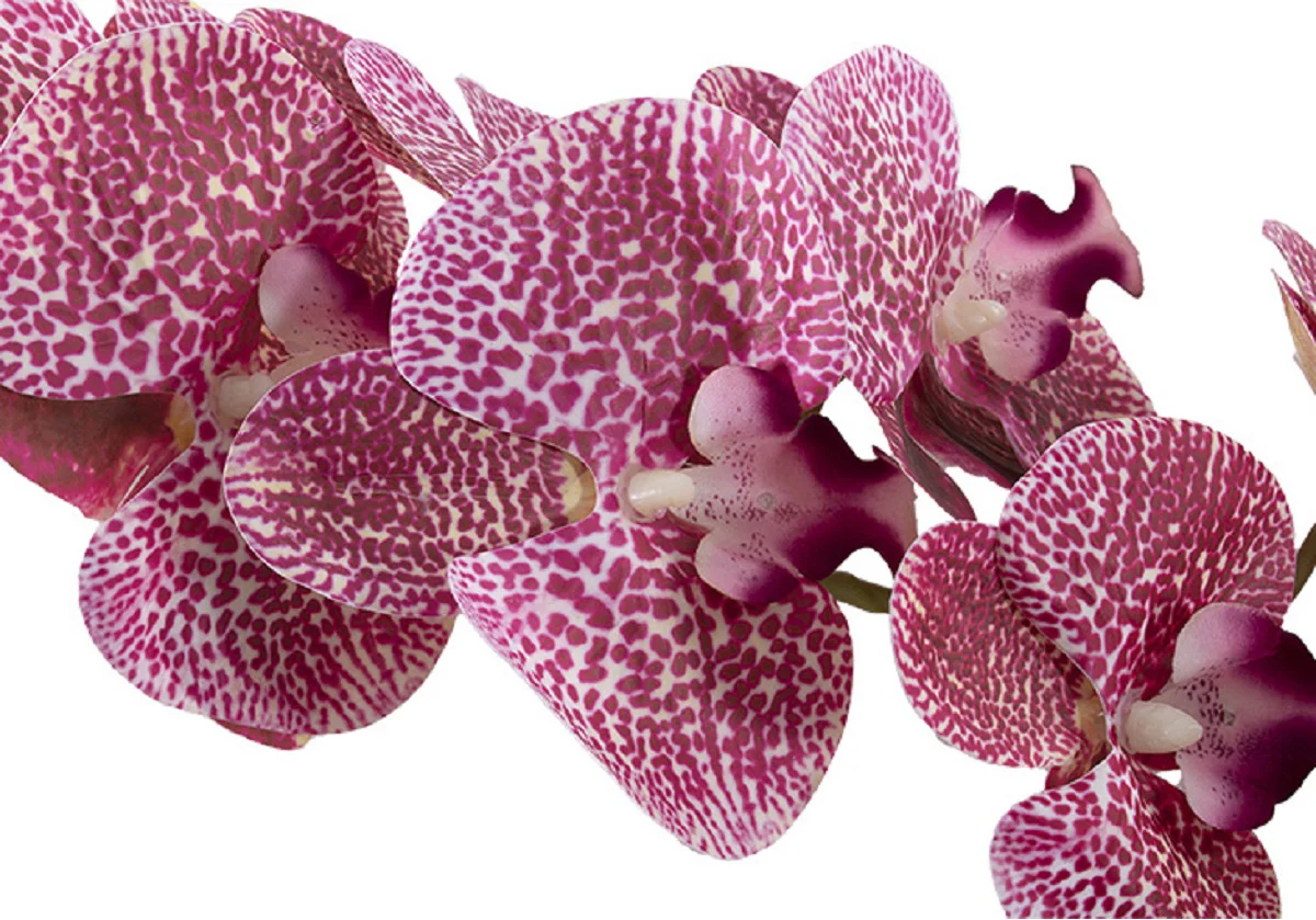 PINK ORCHID STEM - Image 5