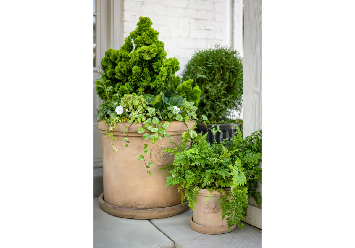TERRACOTTA LION PLANTERS - Image 13