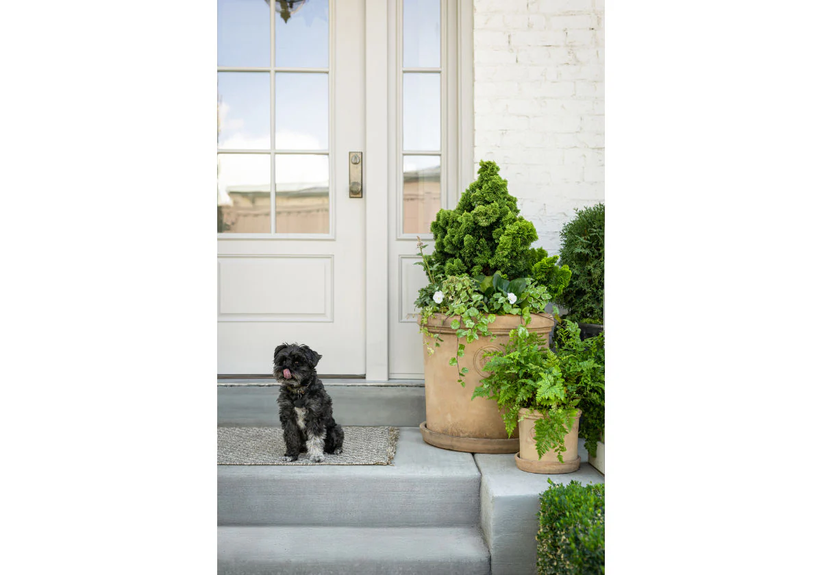 TERRACOTTA LION PLANTERS - Image 17