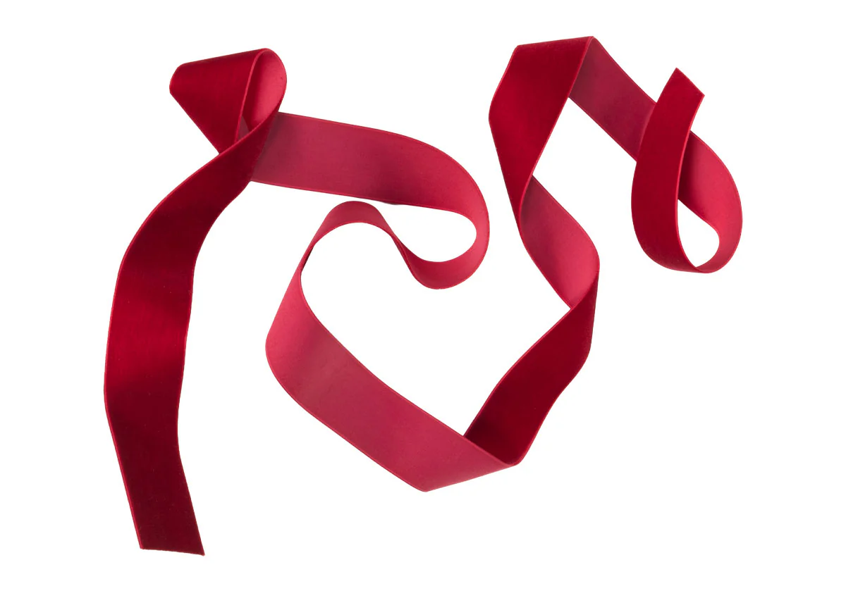 SCARLET VELVET RIBBON - Image 3