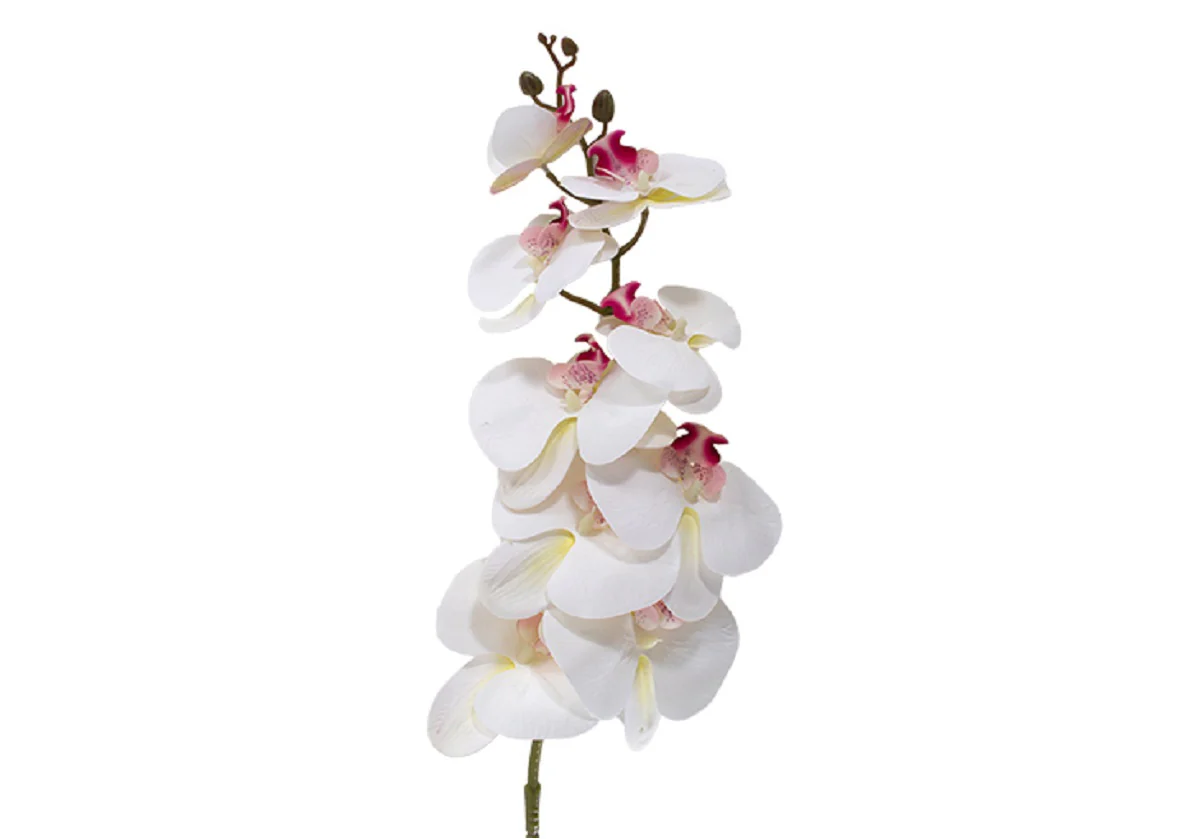 WHITE ORCHID STEM - Image 3