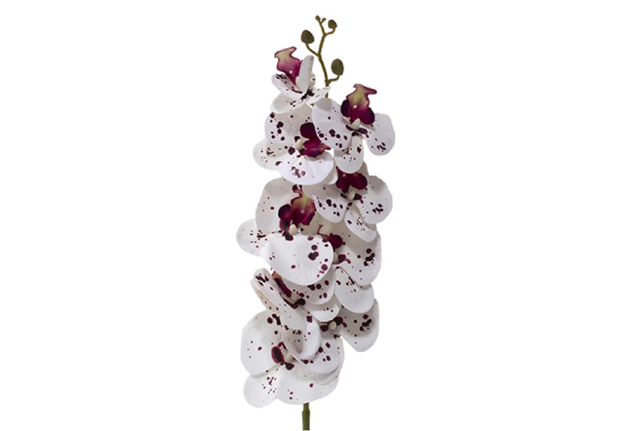 WHITE & PURPLE ORCHID STEM - Image 3