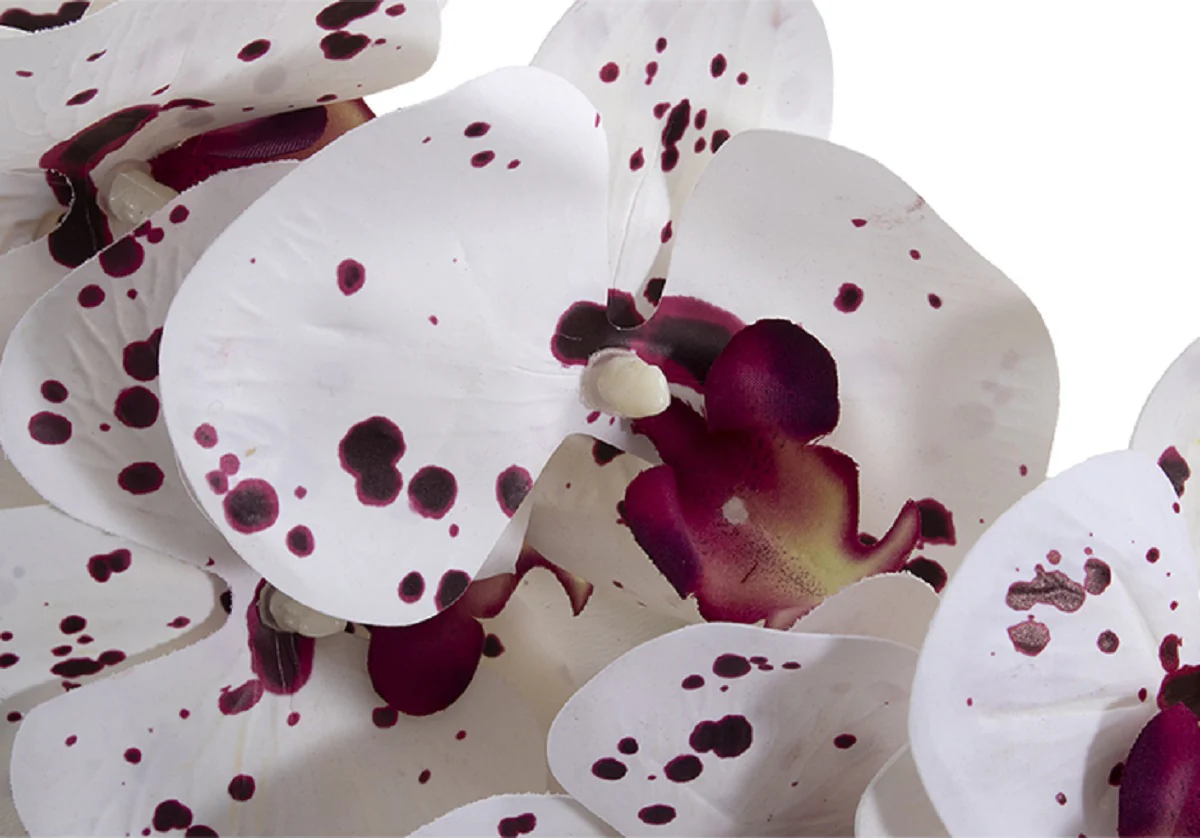 WHITE & PURPLE ORCHID STEM - Image 4