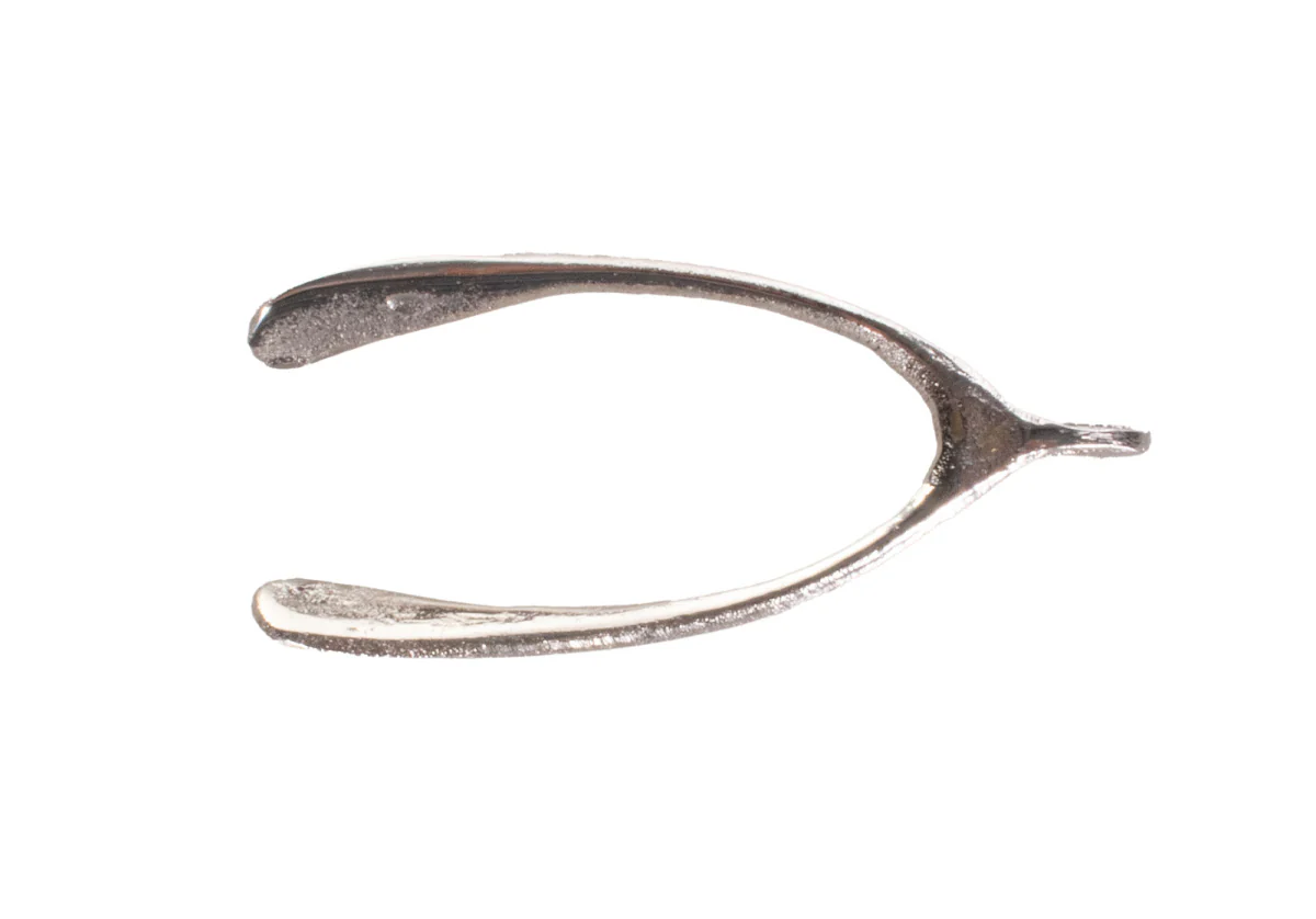 WISHBONE - Image 6