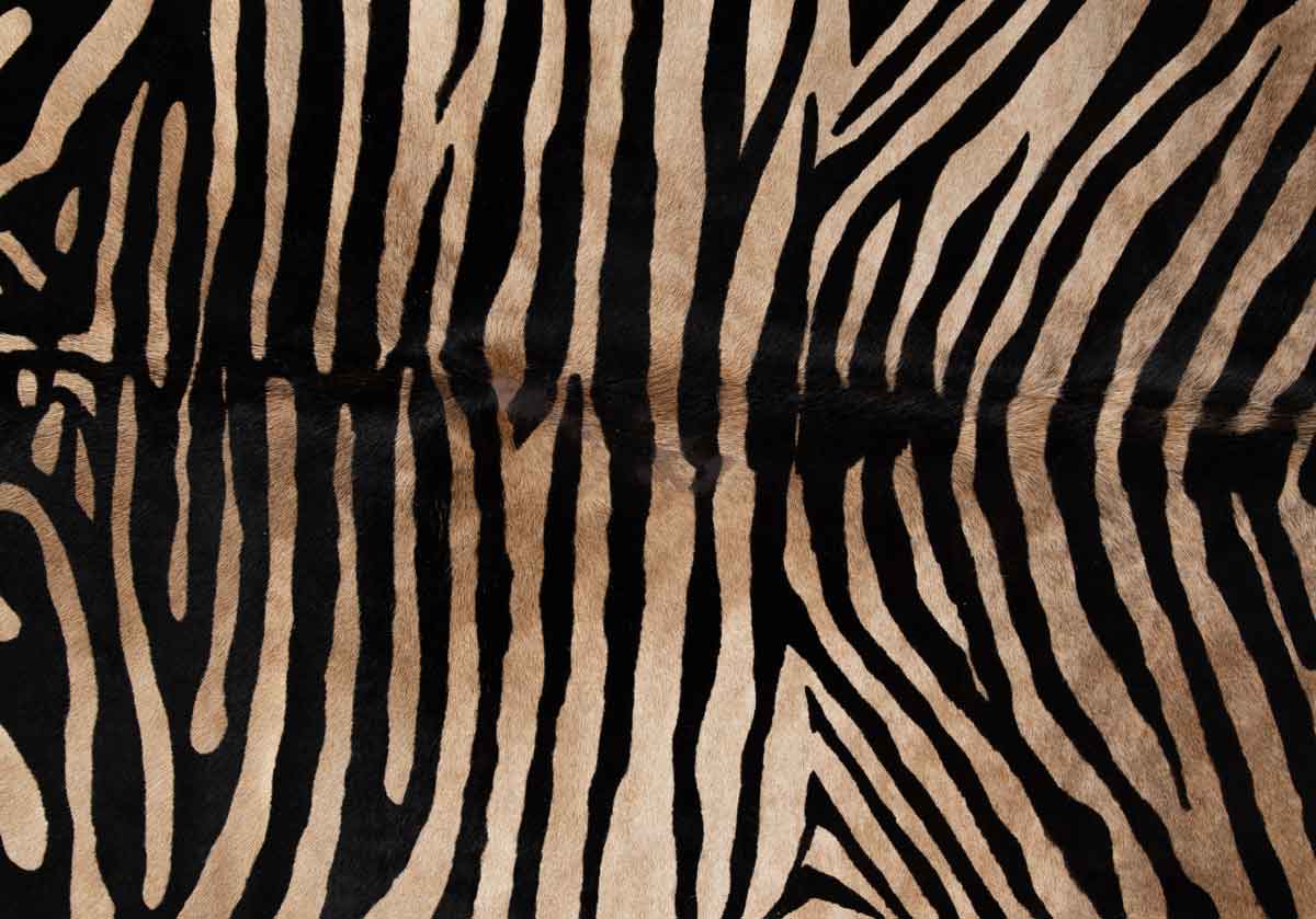 ZEBRA RUG - Image 3